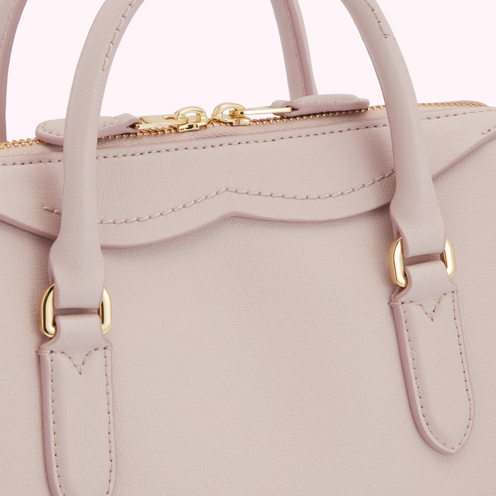 BLUSH LEATHER SMALL DYLAN HANDBAG